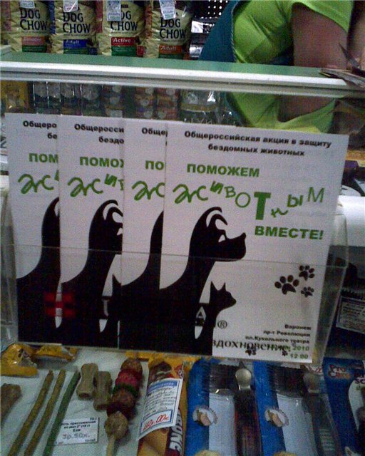 описание: изображение