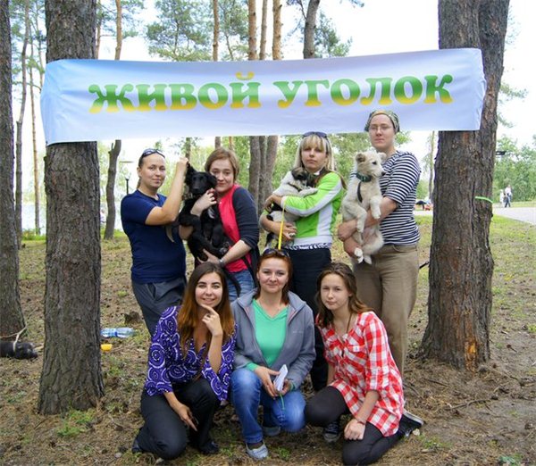 описание: изображение