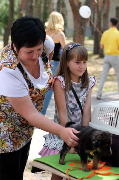 описание: изображение